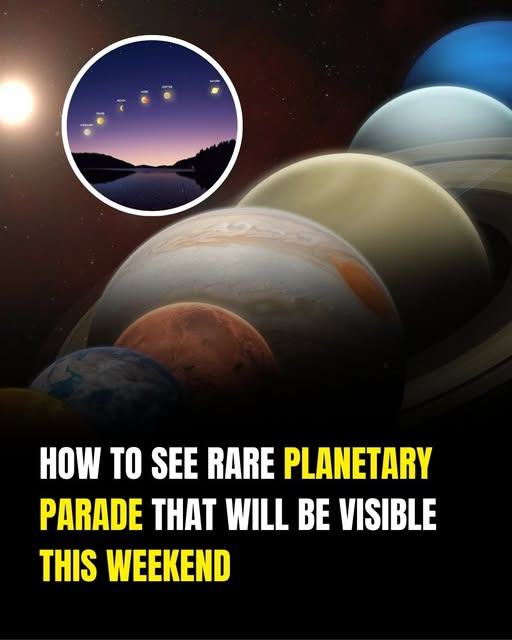 It’s a rare sighting