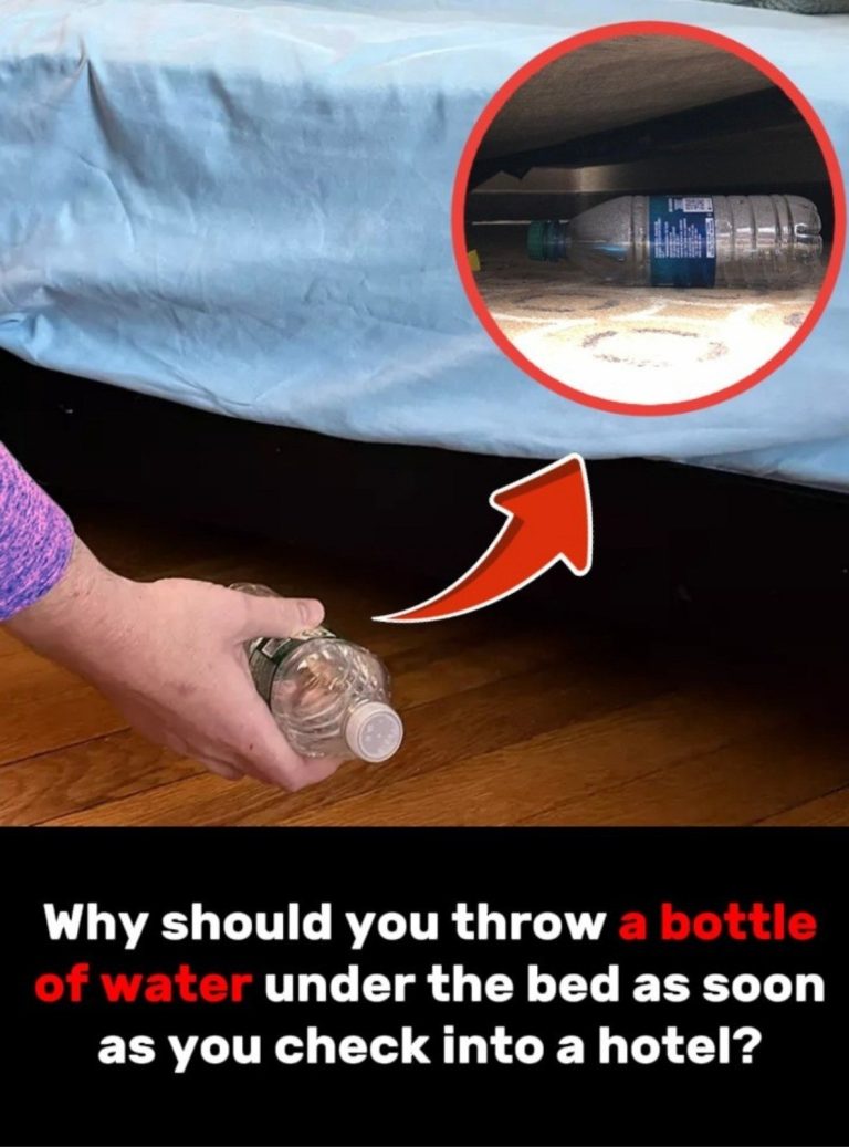 Why Some Travelers Place Water Bottles Under Hotel Beds