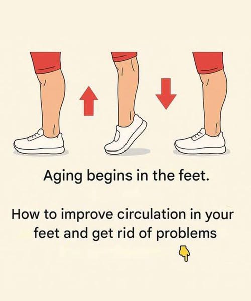 Old age begins in the feet. How to Improve Circulation in Your Feet and Get Rid of Problems: 4 Exercises and Tips from a Neurologist