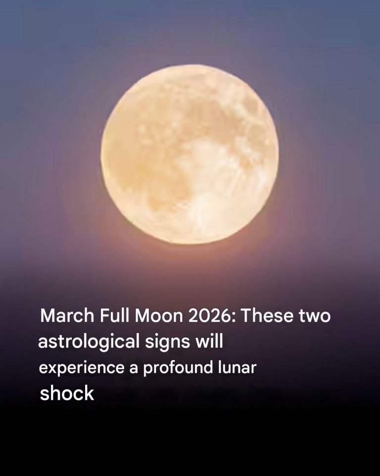 March 9 Tarot Horoscope 2026: this draw announces a crucial choice not to be overlooked for Your Zodiac Sign