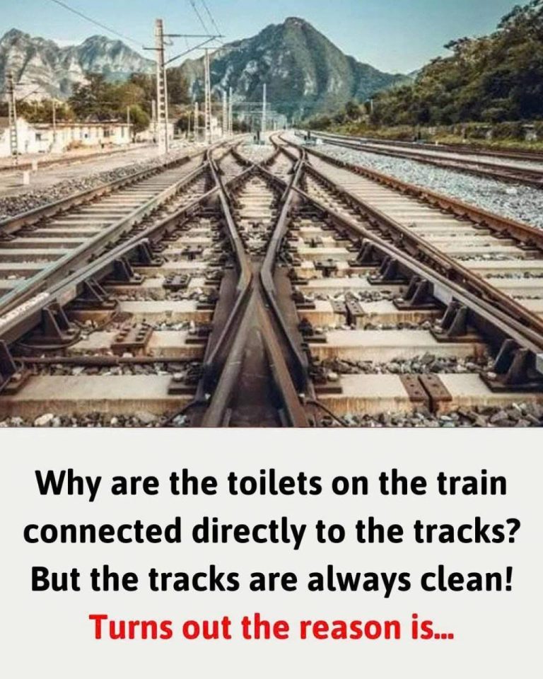 Why are the toilets on the train connected directly to the tracks? But the tracks are always clean!
