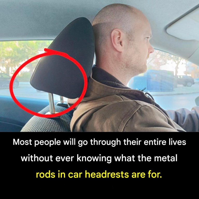 Why are car headrests equipped with metal rods? — A safety feature often overlooked by drivers