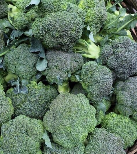 Doctors reveal that eating broccoli causes … See more 👇