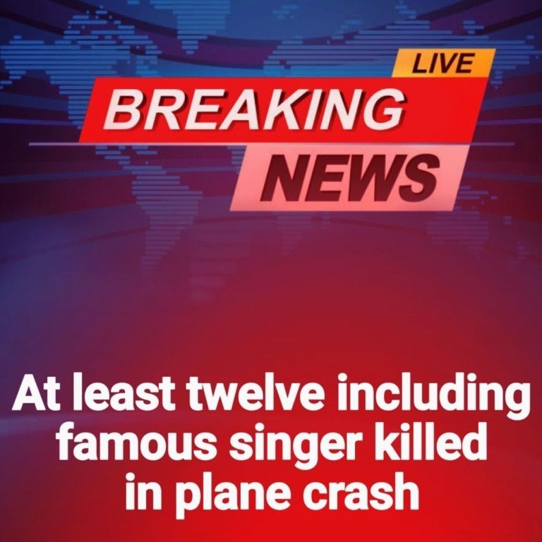 Twelve dead including famous singer in plane crash off remote island