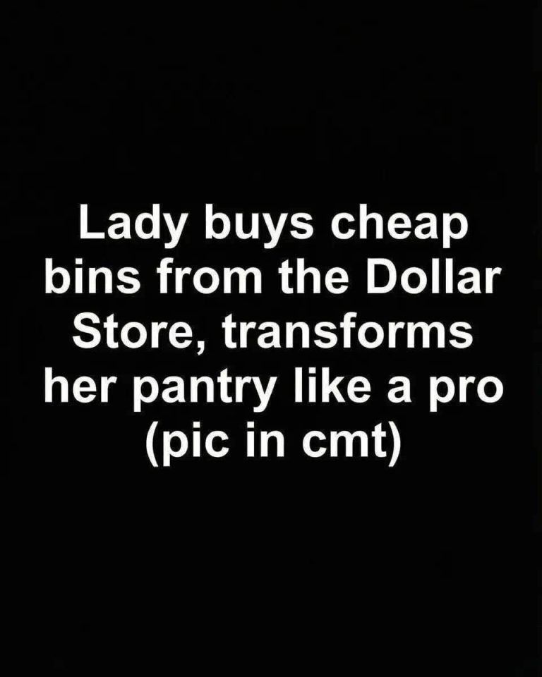 Budget-Friendly DIY Pantry Organization Using Dollar Store Bins as a Practical, Stylish, and Long-Term Solution for Creating a Calm, Efficient, and Visually Cohesive Kitchen Storage System Without High Costs or Professional Help