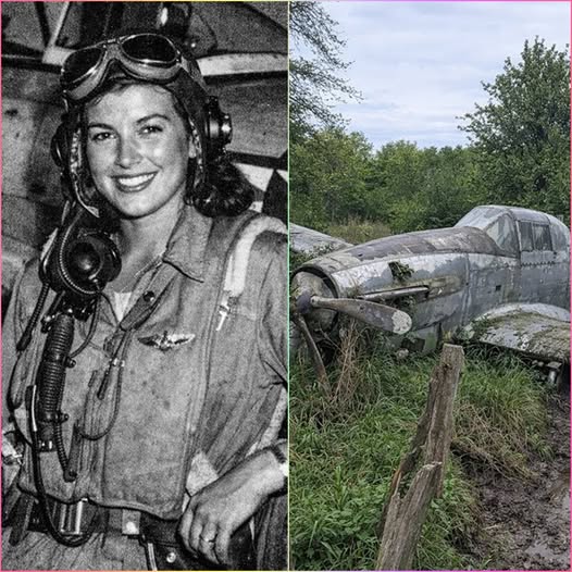 Fighter Pilot Vanished in 1944, 70 Years Later, Her Plane Was Found in a Forest!