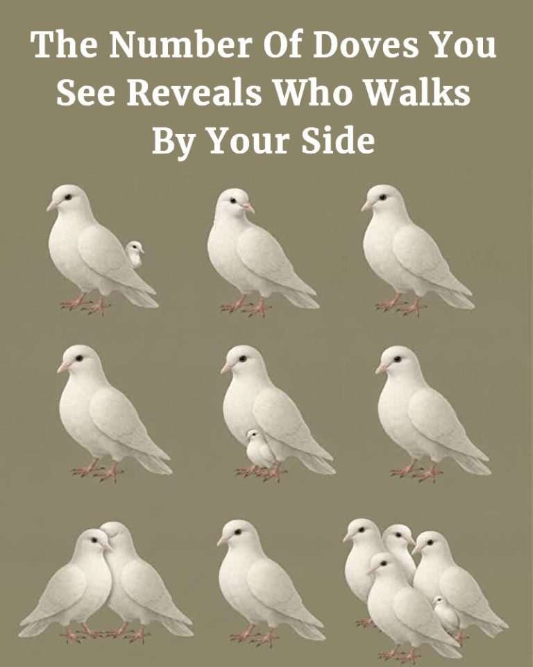 The Number Of Doves You See Reveals Who Walks By Your Side