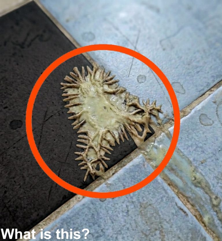 I found this in my girlfriend’s bathroom. We’ve been looking at it for an hour now and still can’t figure out what it is.