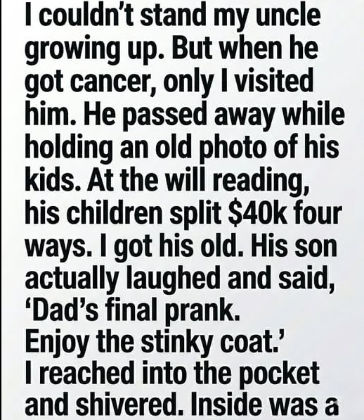 They Laughed at the Coat… But He Was the Only One Who Understood