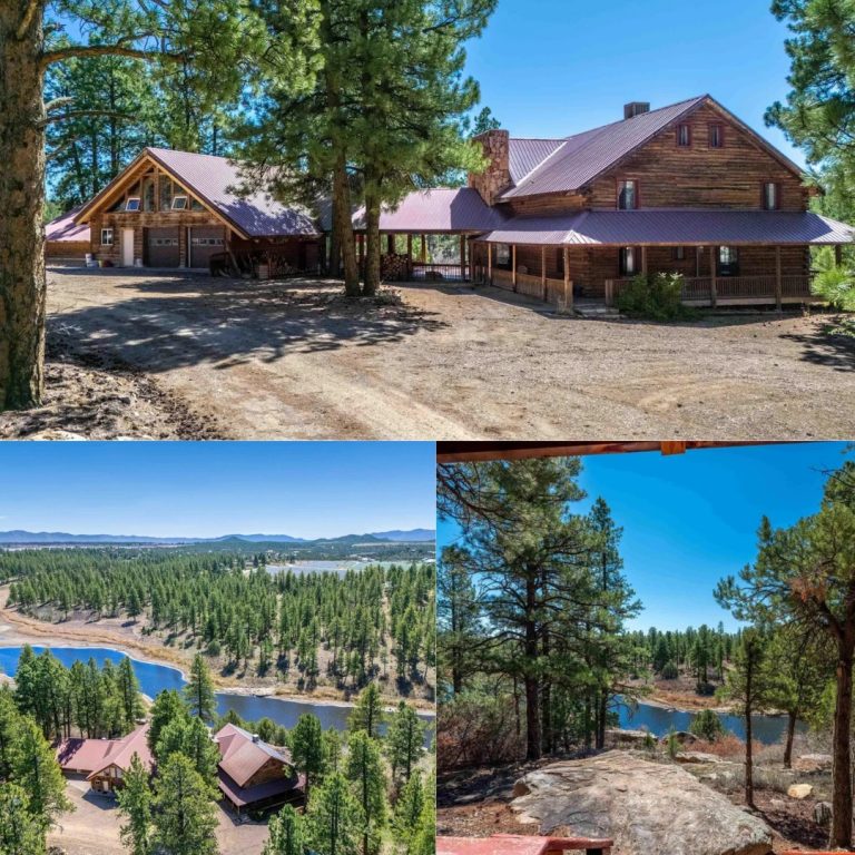 15.32 Acres of Space with Two Homes in Mancos, Colorado