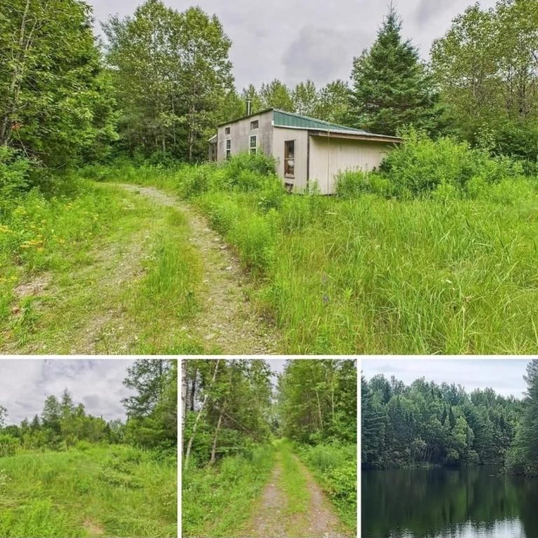 Off-Grid Wilderness Camp on 24 Acres