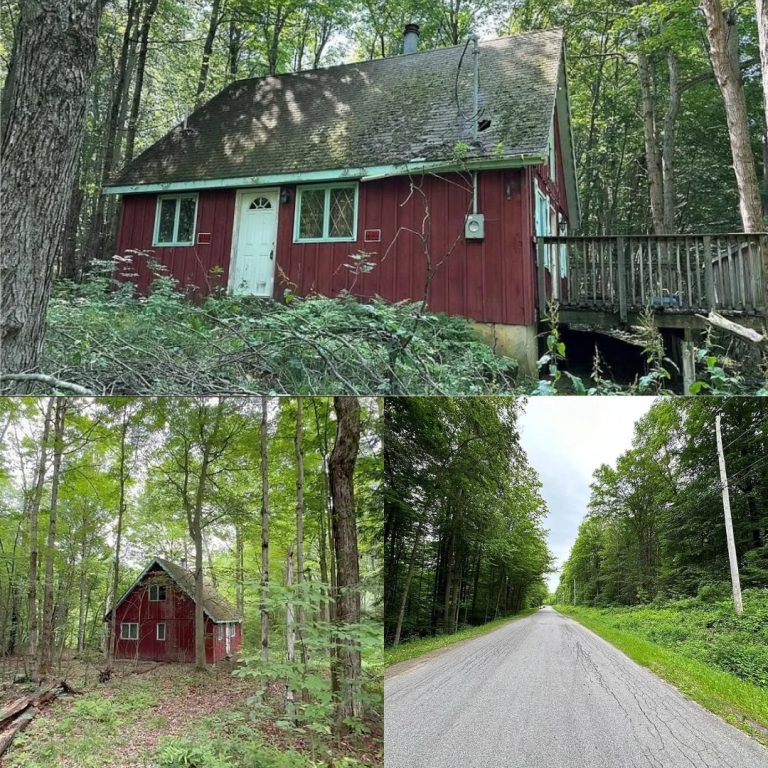 Cottage with 5 Acres in Farmersville Station, New York