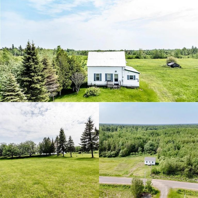 95-Acre Picturesque Farm in Northern Maine Ideal for a Homestead or Private Escape