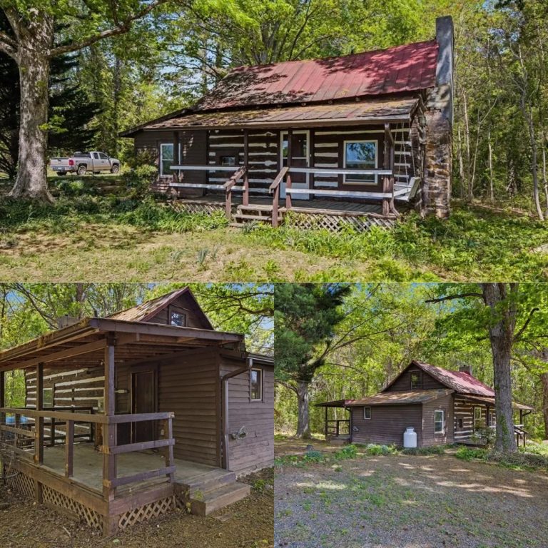 Log Cabin with 1 Acre in Halifax, Virginia