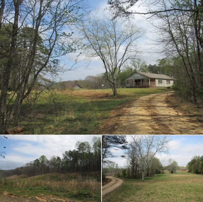 Ten Acres of Untapped Potential: A Rare Opportunity in Spruce Pine – $19,500