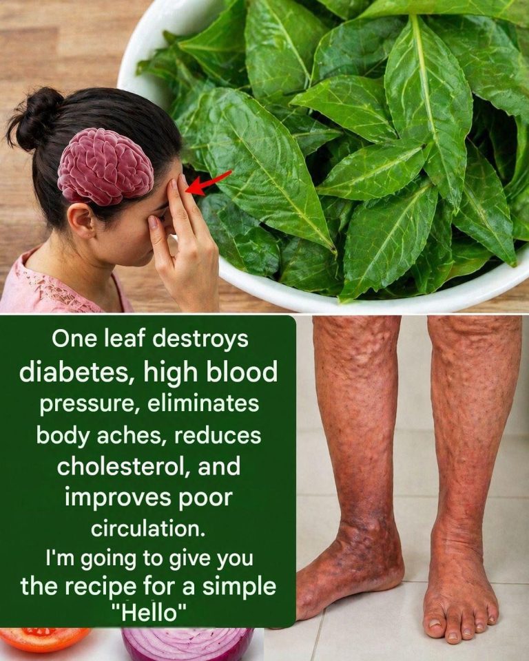 The One Leaf People Are Talking About: Can It Really Help With Diabetes, Blood Pressure, and Cholesterol?