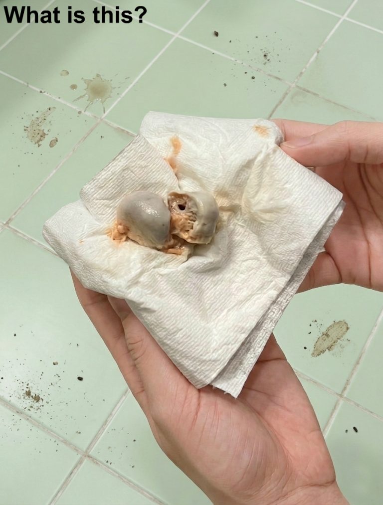 My wife and I found this on the bathroom floor.