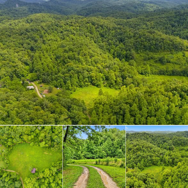 18.5-Acre Kentucky Wilderness Retreat